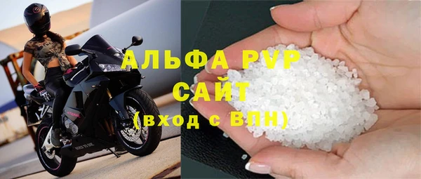 эйфоретик Бородино