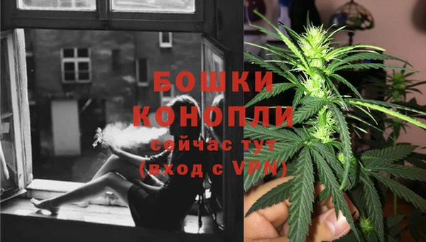 эйфоретик Бородино