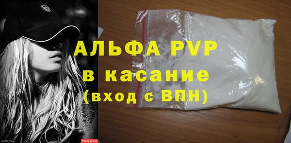эйфоретик Бородино