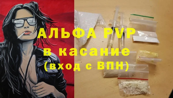 эйфоретик Бородино